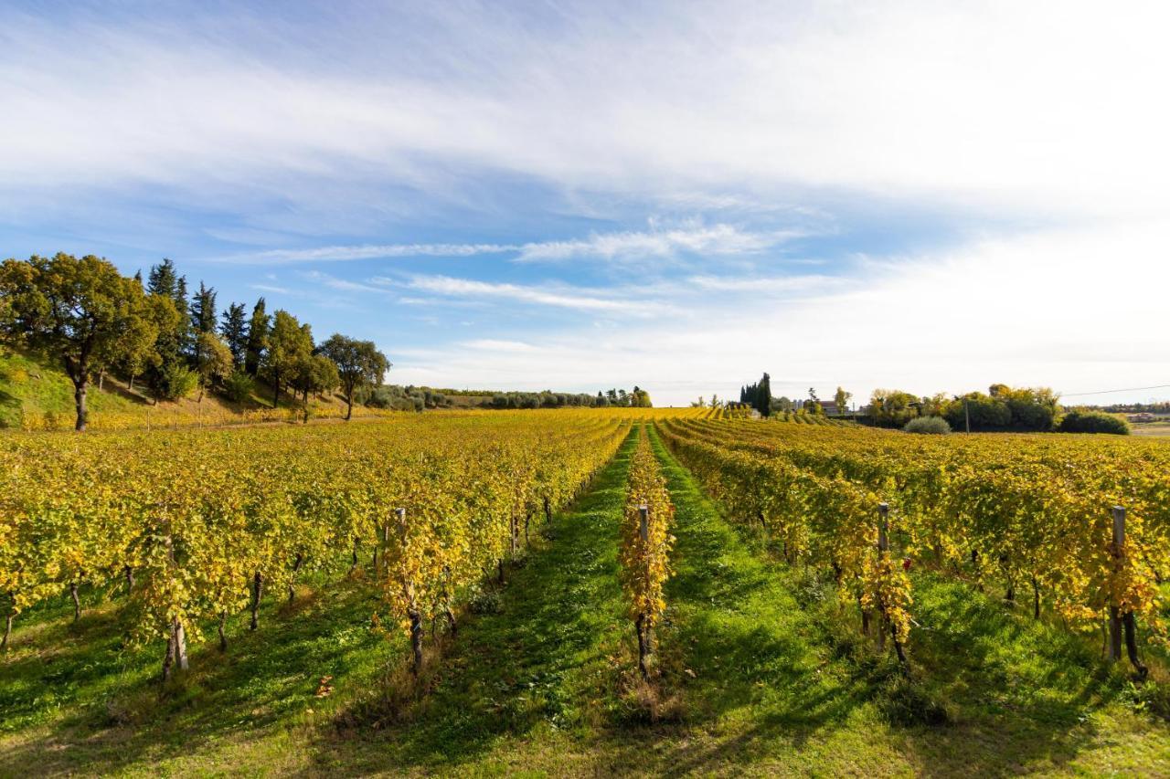 Villa Agriturismo Ai Prati à Lazise Extérieur photo